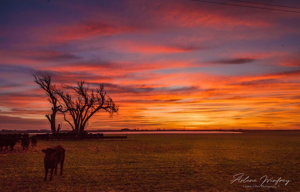 Oklahoma_sunrise_by_Arlene_Winfrey_chainsofpace_1024x1024