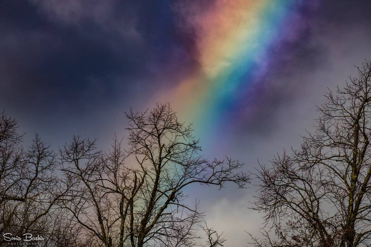 Rainbow in Haslam Park by Sonia Bashir @SoniaBashir_