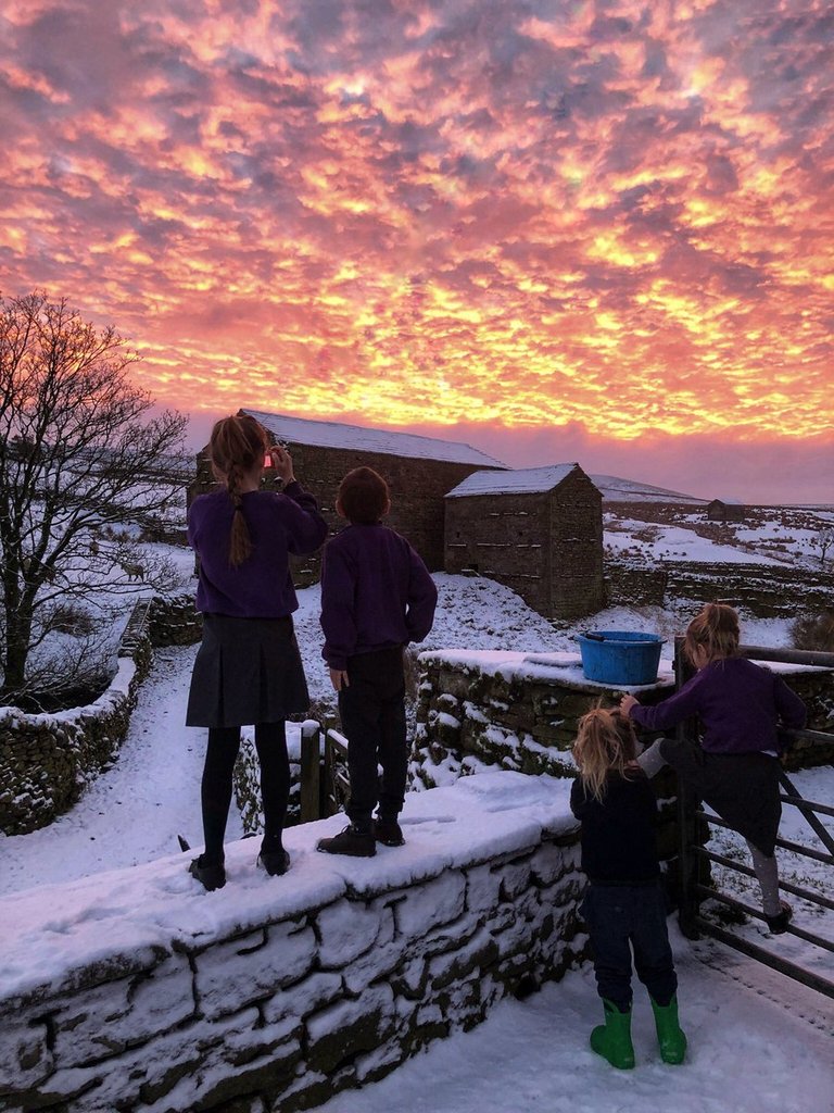 Red_sky_and_snow_over_Yorkshire_by_YorkshireShepherdess_AmandaOwen8_1024x1024