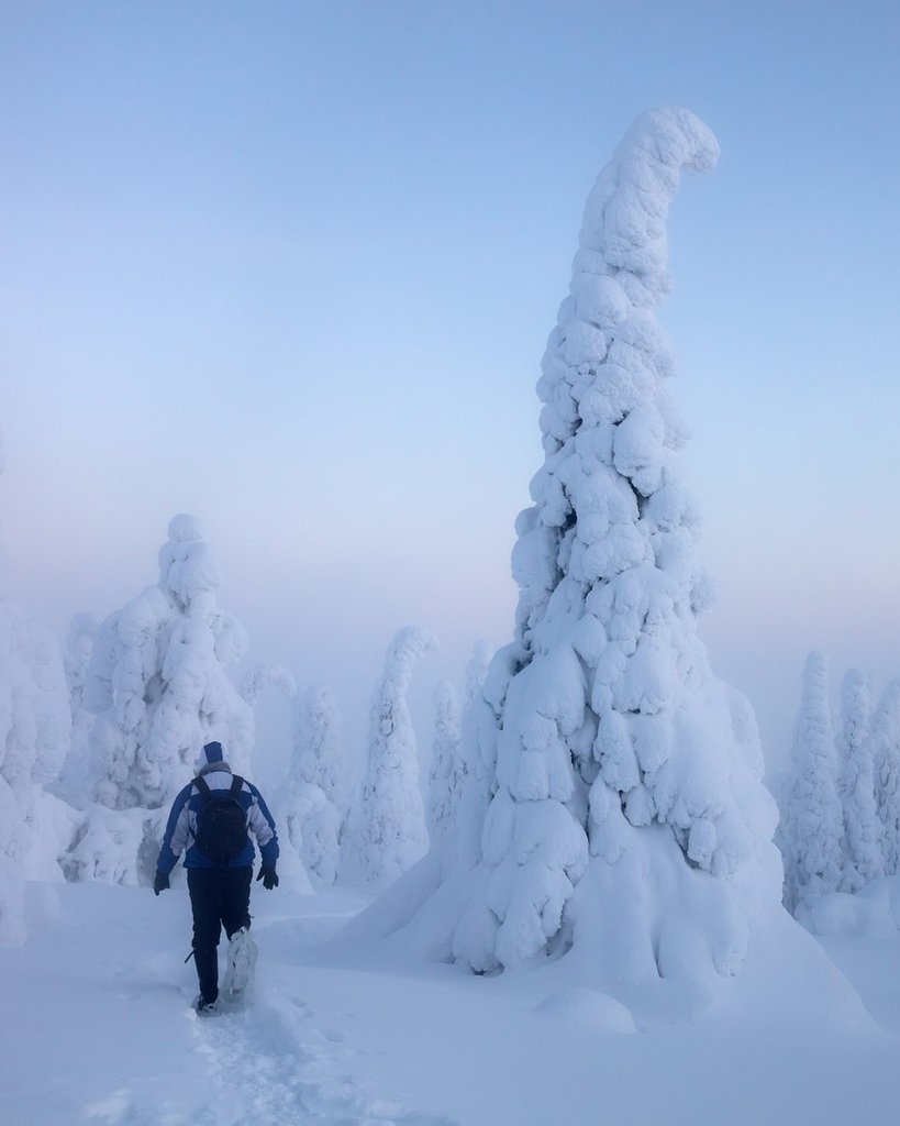 Riisitunturi_National_Park_in_Finnish_Lapland_by_Serena_Dzenis_serenavsworld_1024x1024
