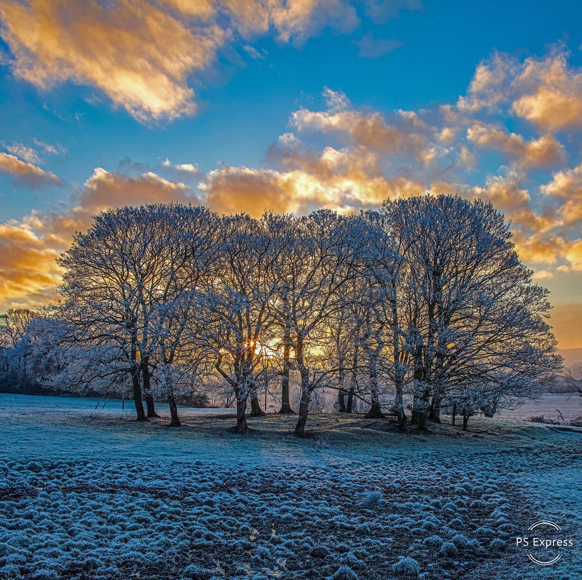 Secret Tyne Valley hobgoblin tree circle in Northumberland by Graeme Peacock @GraemePeacock1