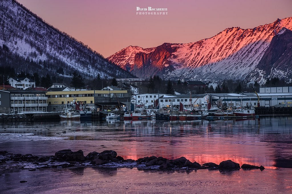 Senjahoppen_Norway_by_David_Rocaberti_DavidRocaberti_1024x1024