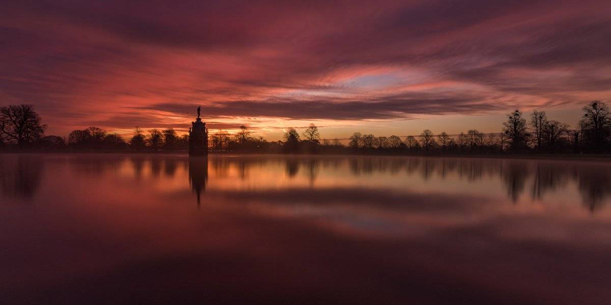 Early in the morning. Stunning colours at about 5:30am in Bushy Park by Stephen Darlington @sjdarlington