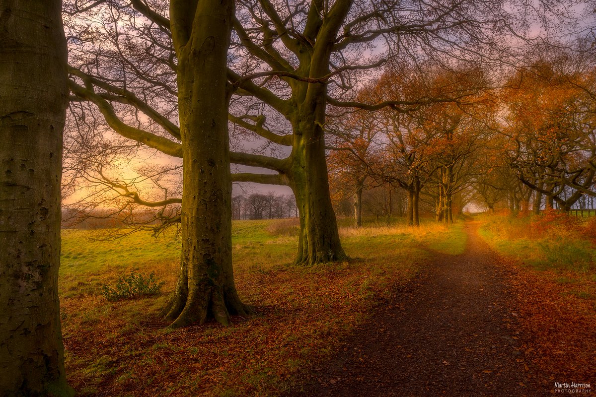 The Path from Rivington Barn to SheepHouse Lane by HappyOnTheHills @HappyOnTheHills