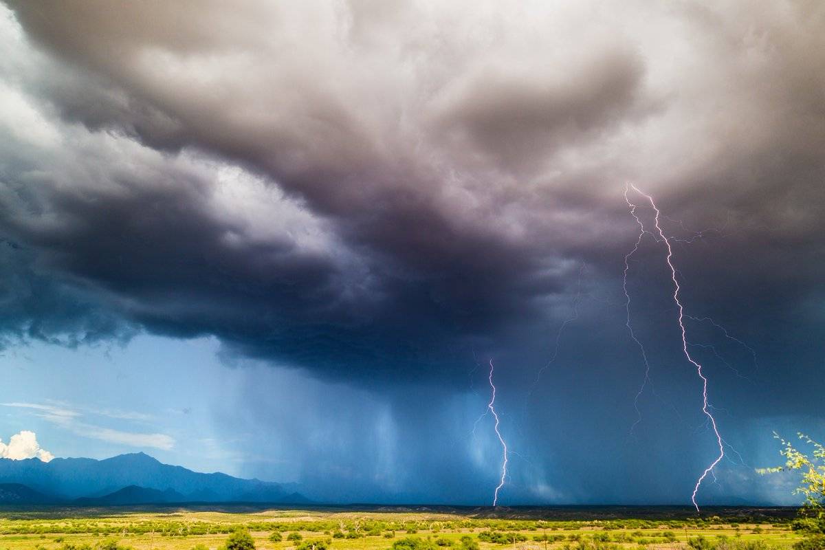 A pair of bolts near Tubac, AZ by Lori Grace Bailey @lorigraceaz