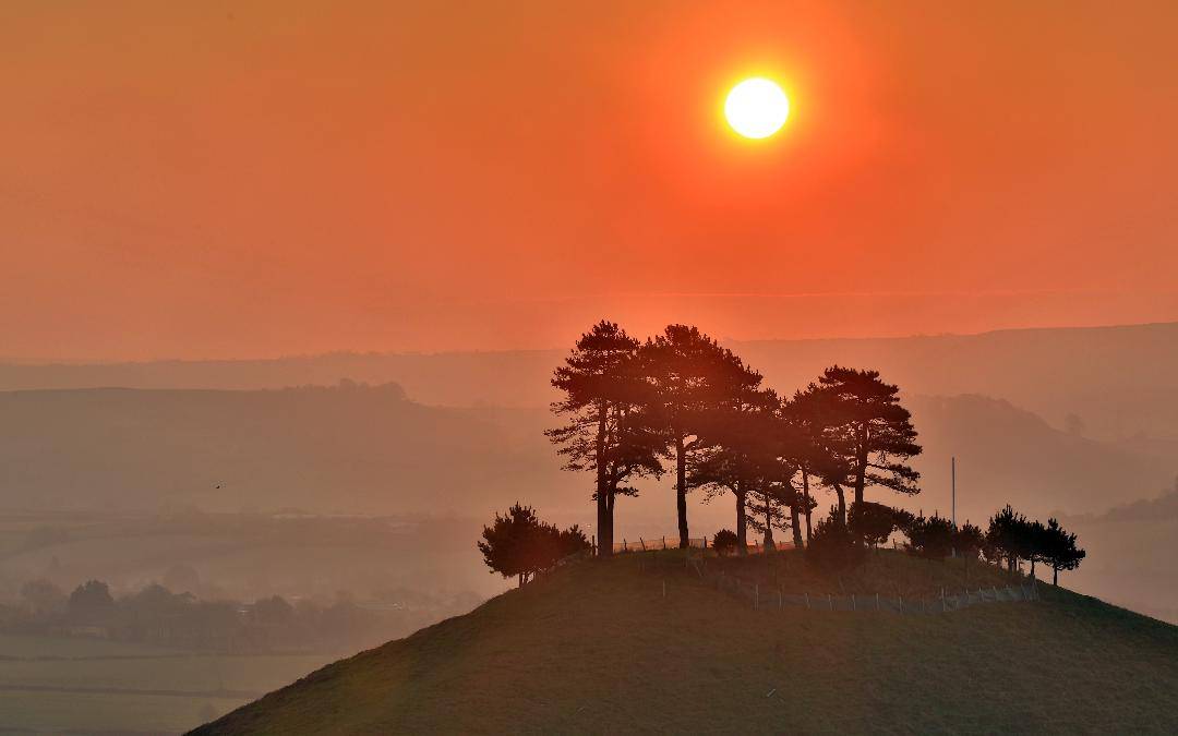 Chilly Sunrise over Colmers Hill, Dorset by Paul Silvers @Cloud9weather1