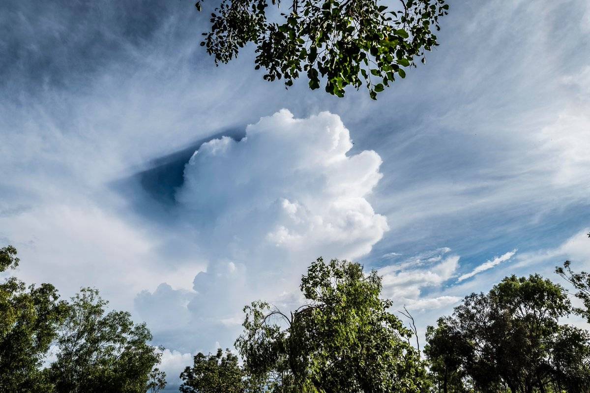 Cumulonimbus cloud at Kakadu National Park by Judy Leitch @leitchbird