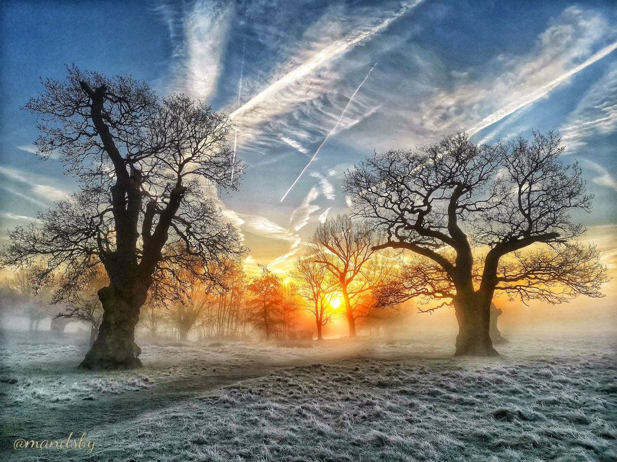 Richmond park at sunrise on valentines day by Amanda Boardman @Mandsby