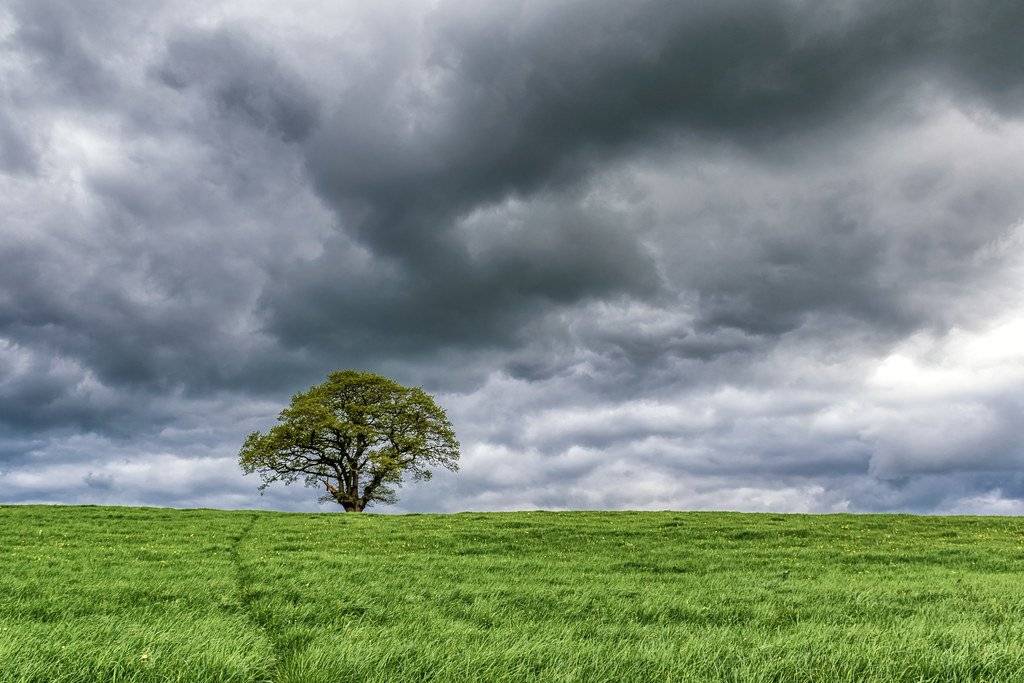 Stormy skies over tree near Eyebrook Reservoir by Richard @Photo_Rutland