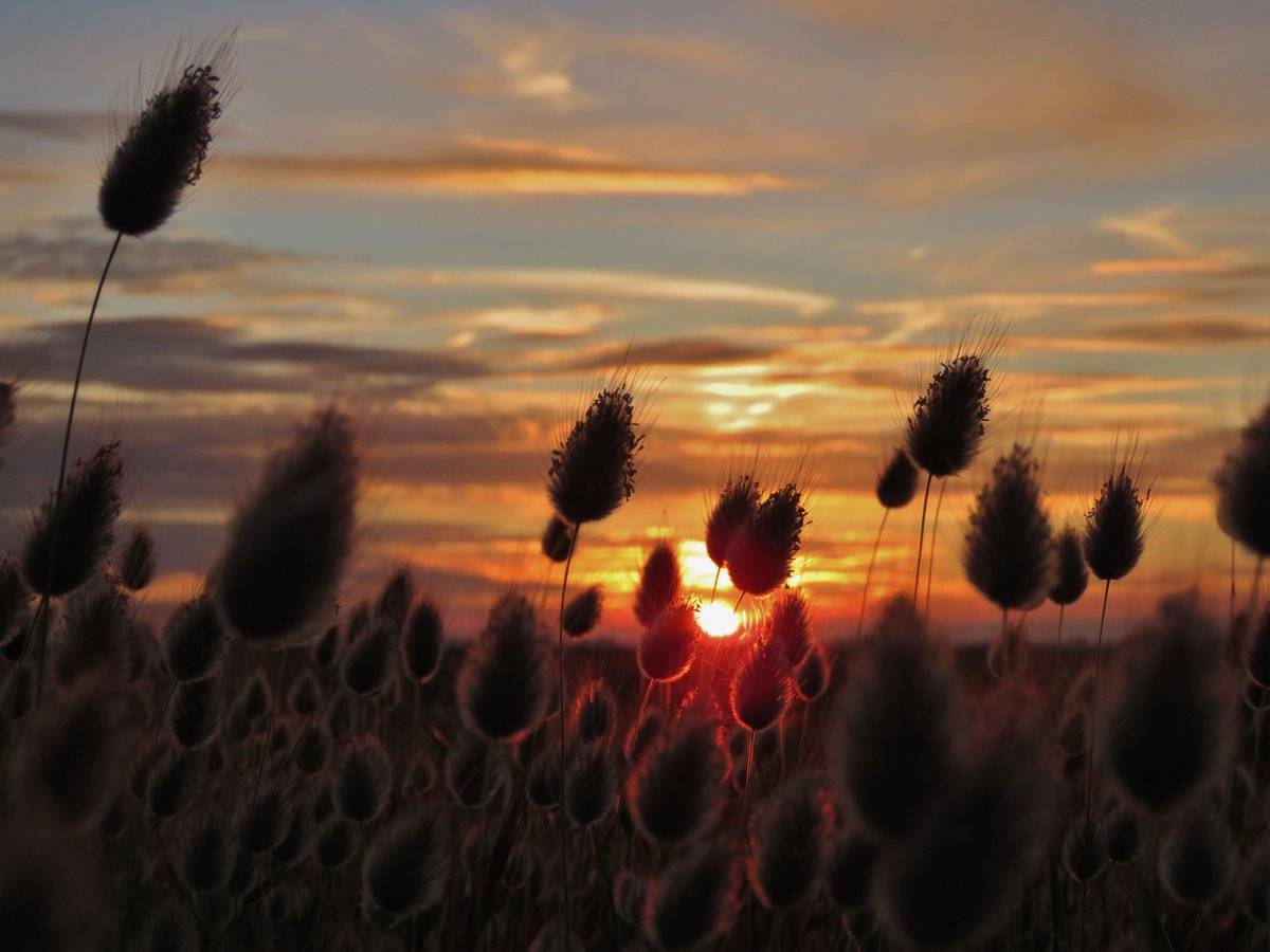 1st Place Sunset over Romney Marsh by Ian Hook @ianhook66