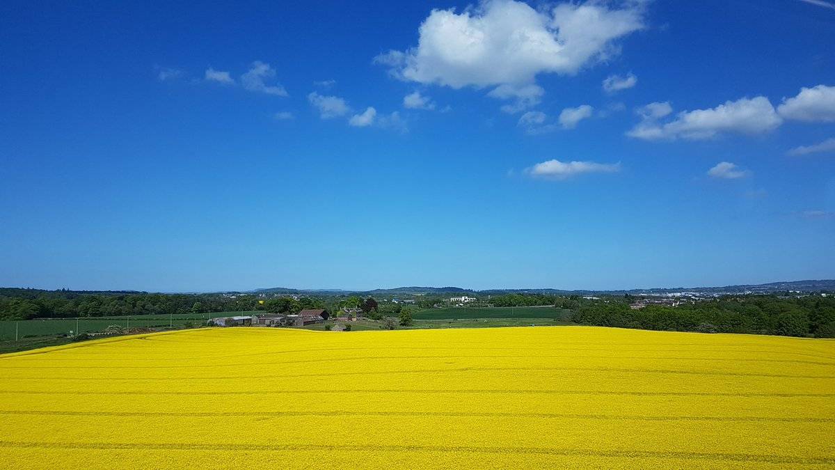 3rd Place Rapeseed field, horizon land & blue sky by Graham Fraser @frasergj 