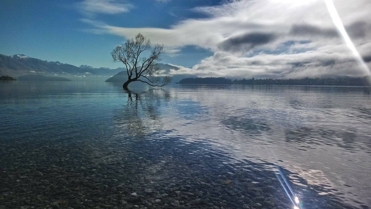 3rd Place Wanaka - New Zealand by Karina Fay @KarinaFayArt