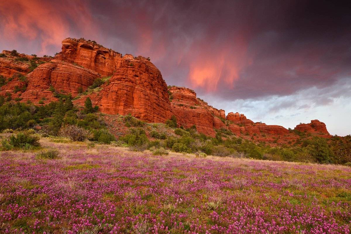 A spring sunset near the Bear Mountain Trailhead by David Shield @DShieldPhoto