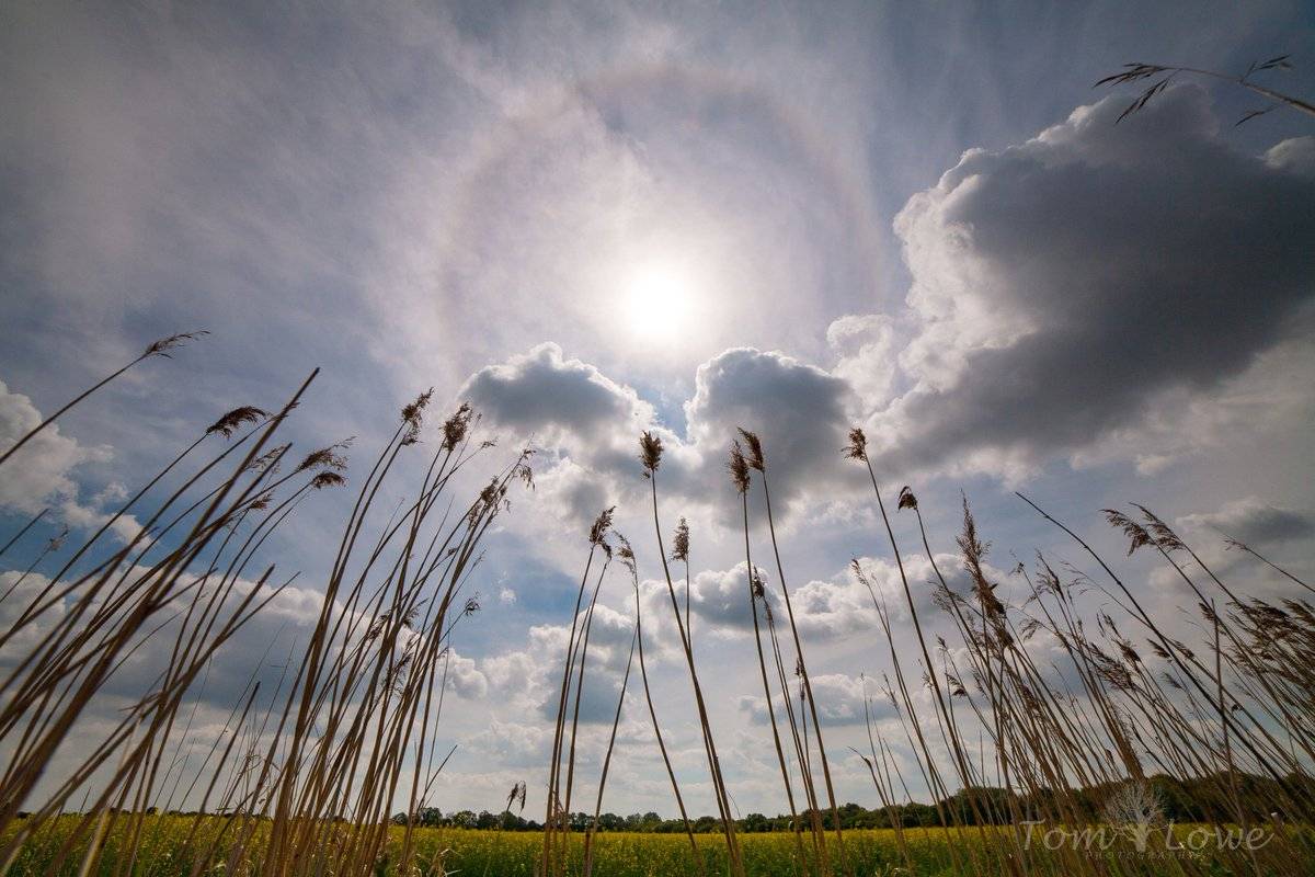 Solar halo over East Yorkshire by Tom Lowe @saloplarus