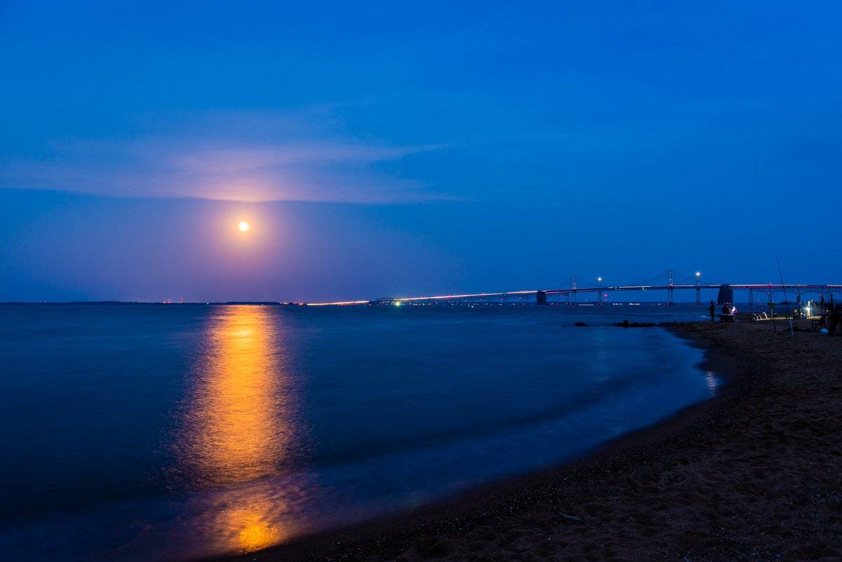 The rare Flower Blue Moon rising over the Chesapeake Bay by Jeff Norman @dcsplicer