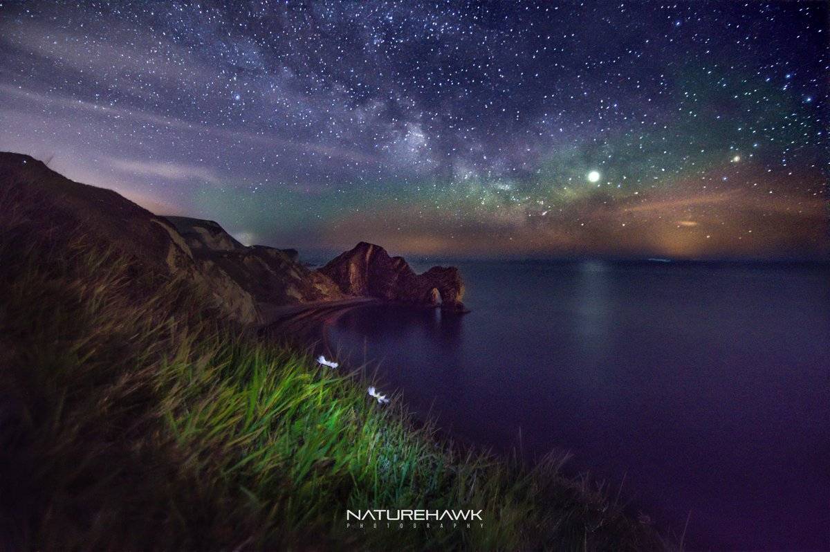 Durdle Door cultivating flora under the Milky Way by Naturehawk Photo @NaturehawkPhoto