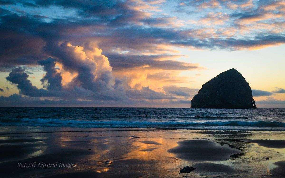 2nd Place Beautiful sunset at Cape Kiwanda, Oregon by Sandra Nicol @tennis45luv