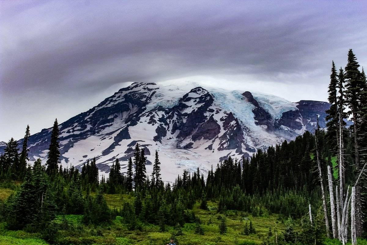 A Glacier-Covered Mount Rainier near Paradise, WA by Alex Lubbers @AlexLubbers2