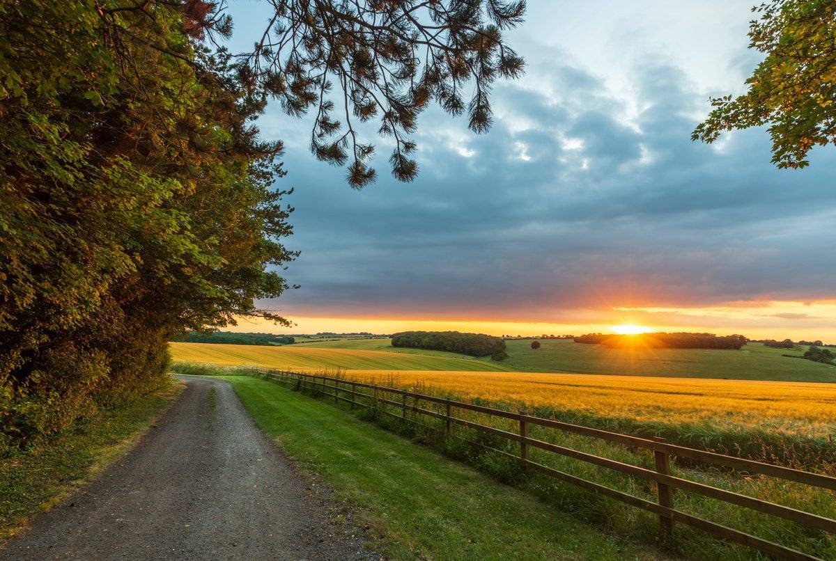 Glorious Wiltshire by Martin Cook @martinjamescook