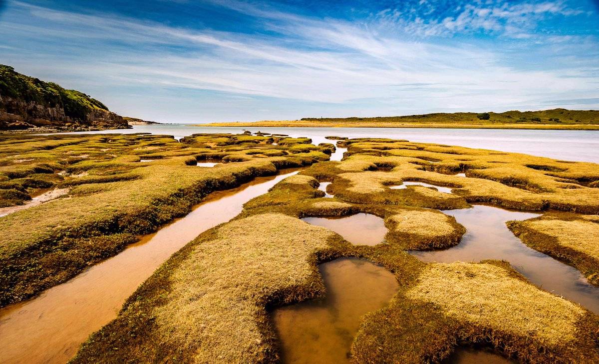 Inlets on the tidal river by Debbie @Szalix