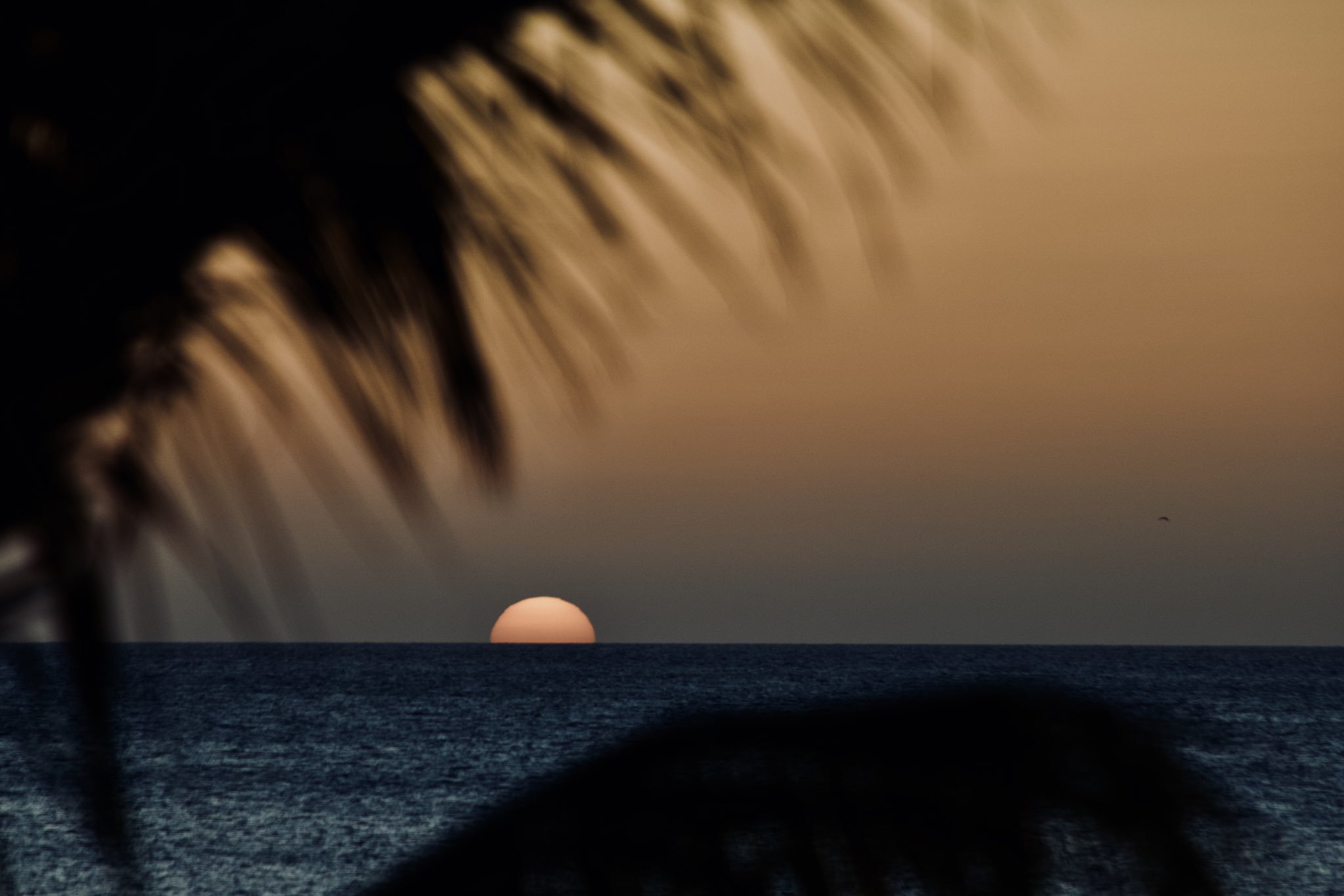 3rd Place Sunset over the coast of Bonaire by ish @ishysan