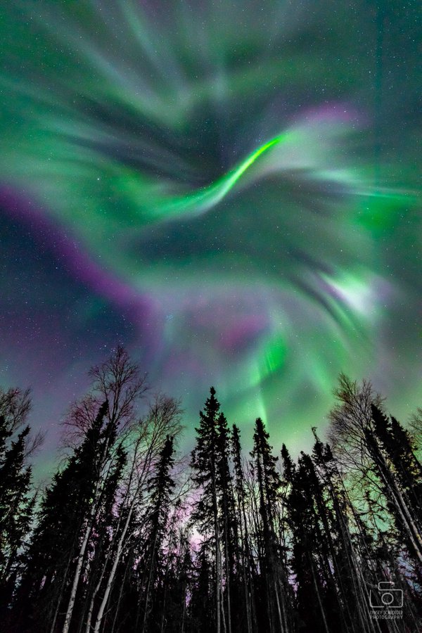 1st Place Amazing display of aurora in Fairbanks, Alaska by Lynsey Schroeder Photography @LSchroederPhoto