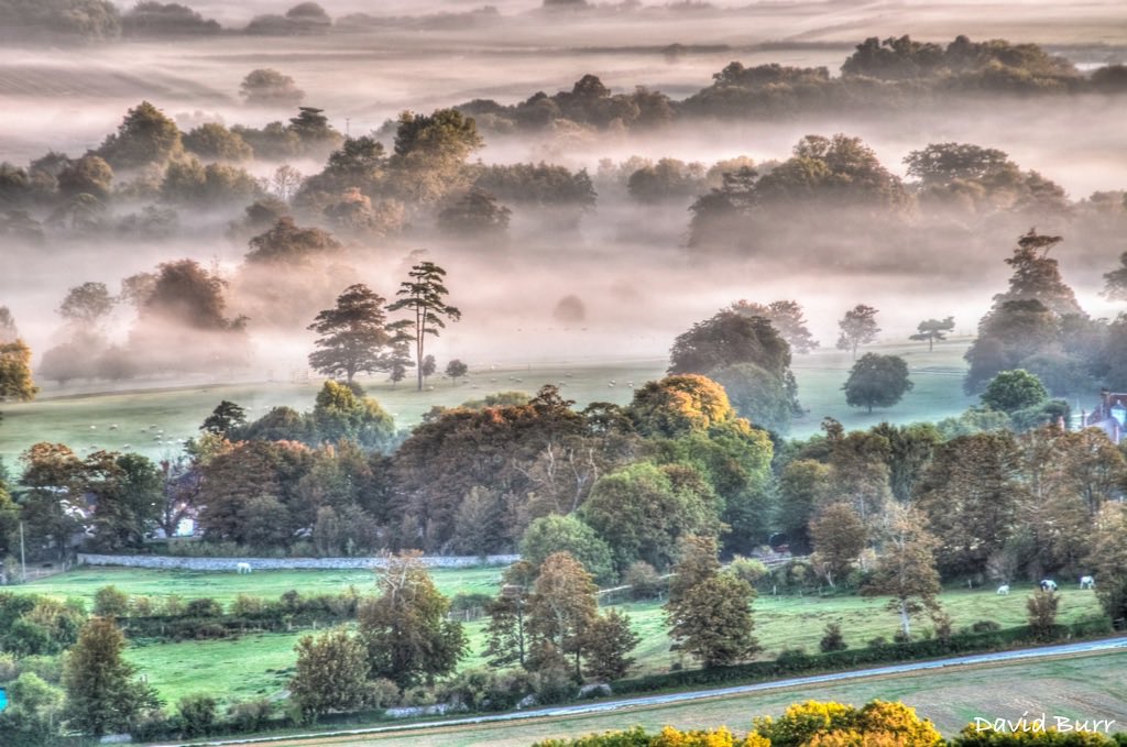 2nd Place Early morning mist creates ethereal scene in the Sussex countryside UK by David George Burr @Bur1Burr