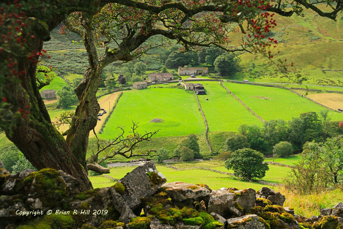 Langstrothdale - near Yockenthwaite by Brian Hill @Yorkshire_Image