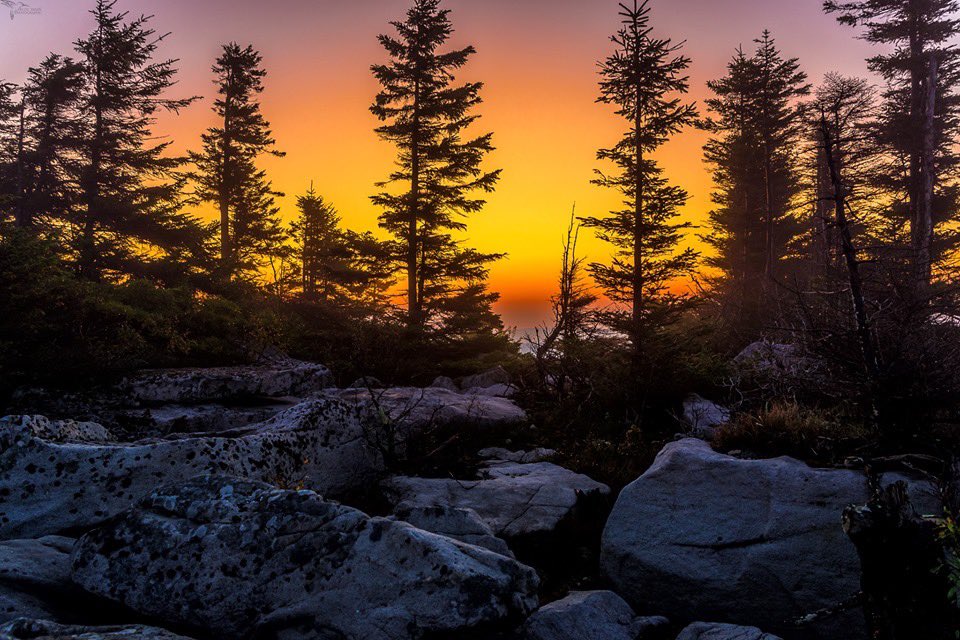 Dawn at Bear Rocks Preserve, Dolly Sods, West Virginia by Lori Coleman @lcgarbage