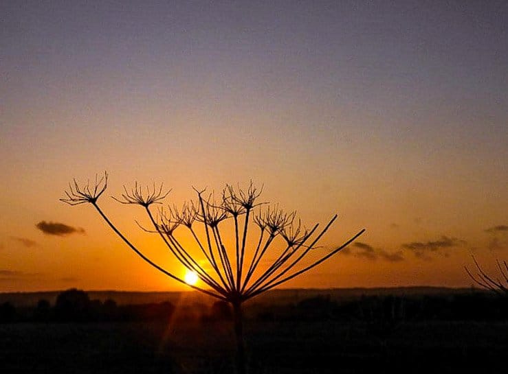 Sunset at Graveley Hertfordshire UK by Carla Sears @CarlaSears