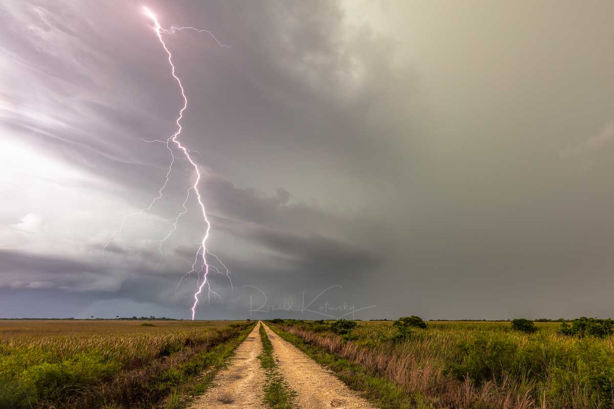 The Path of Least Resistance, Everglades, Florida by Ronald Kotinsky @rkotinsky