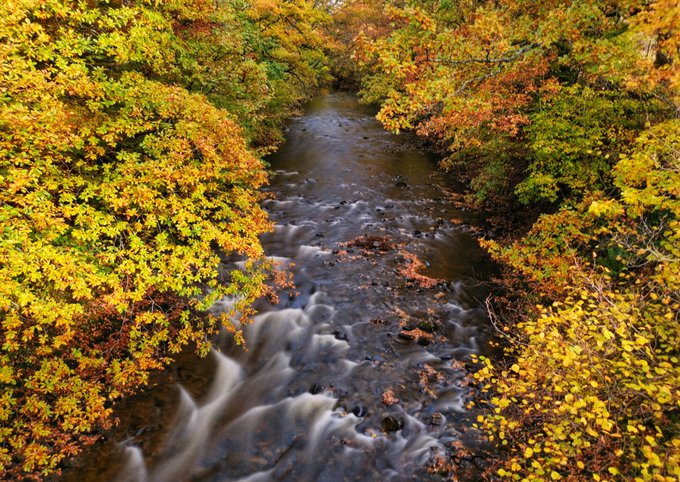 Autumn colour in the Yorkshire Dales by Tom Lowe @saloplarus