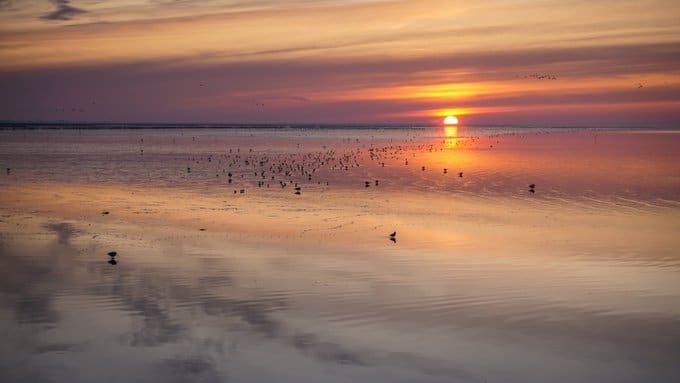 Beautiful sunset near Holwerd by Meteo-Nederland @SevereWeather_N