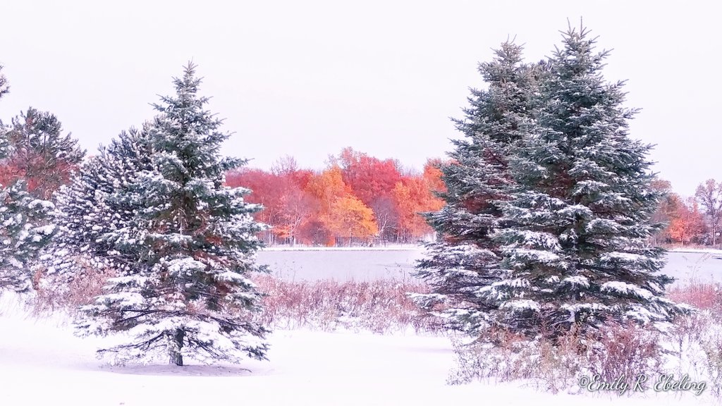 Colors at sunset near Germantown, WI by Emily Ebeling @EbelingArtPhoto