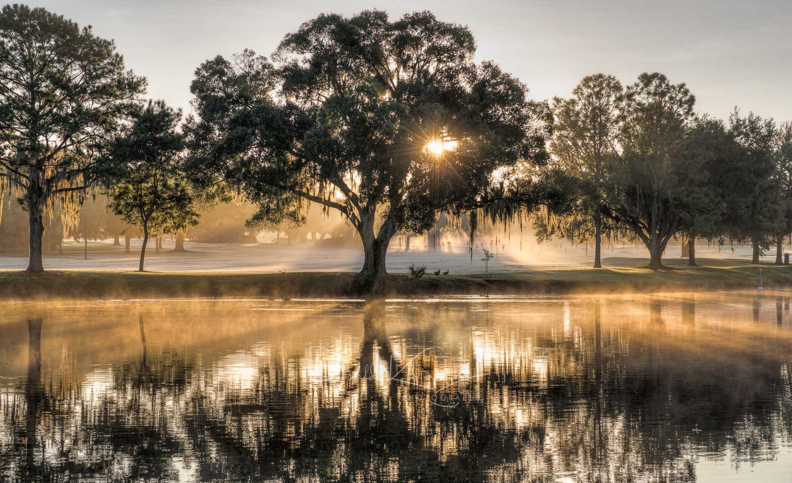 Florida in the Morning by Ronald Kotinsky @rkotinsky