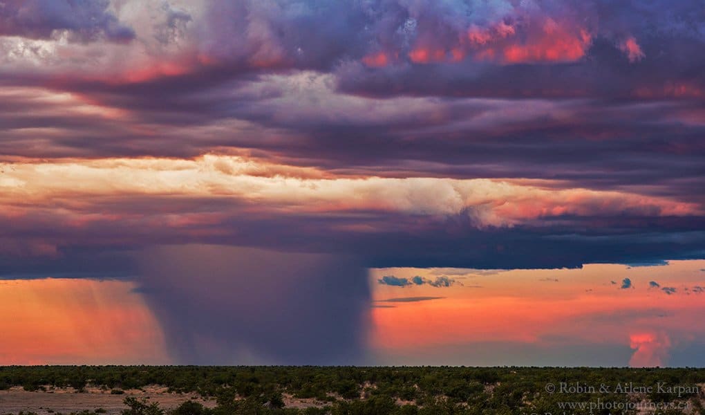 Rainstorm in Etosha National Park, Namibia by Robin&Arlene Karpan @KarpanParkland