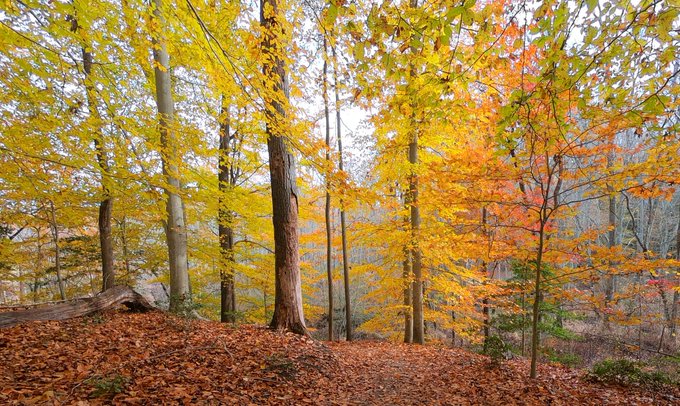 Westmoreland State Park Virginia by William Groah @WGroah