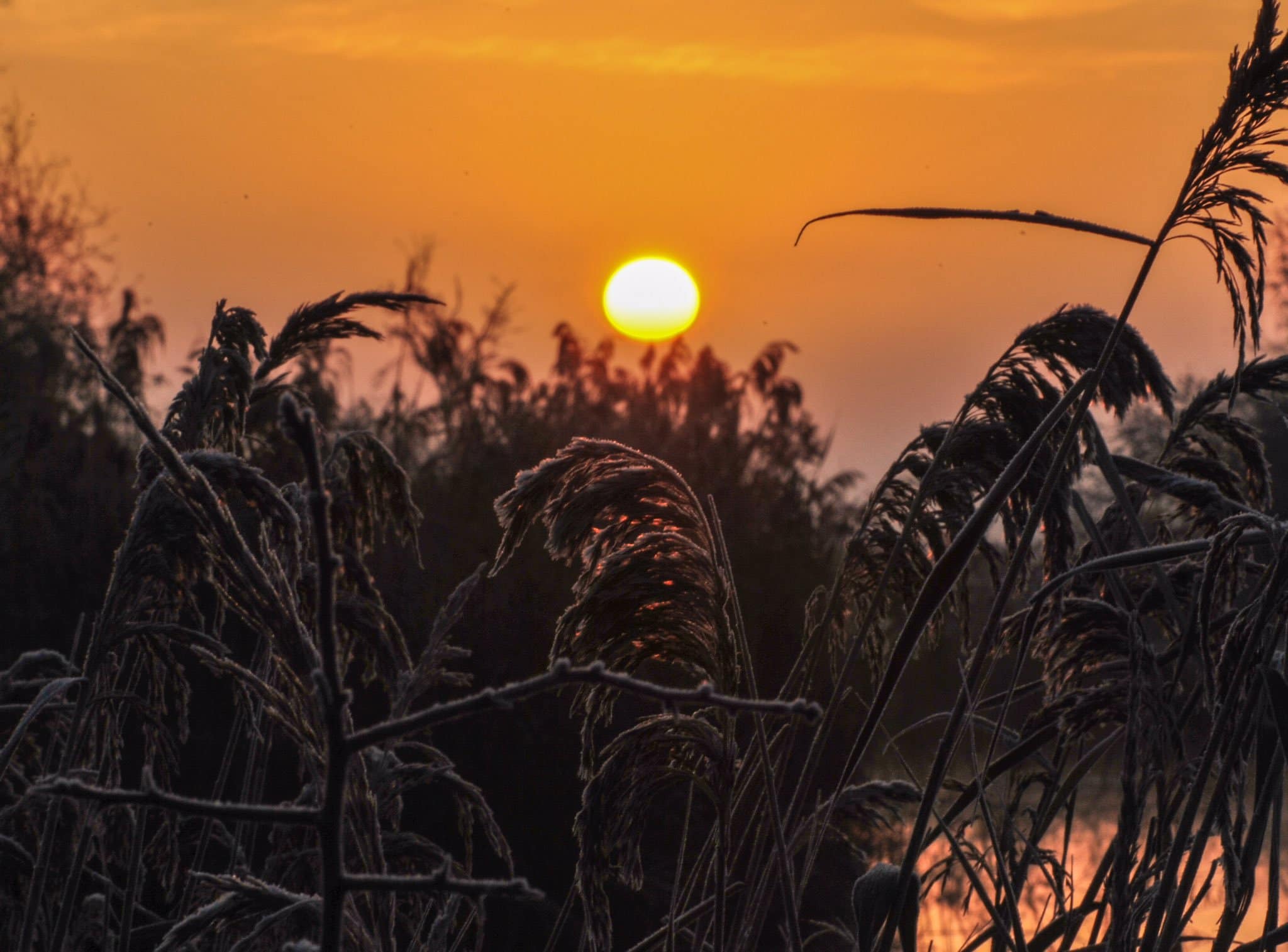 Wicken Fen, Cambridgeshire by Veronica @VeronicaJoPo