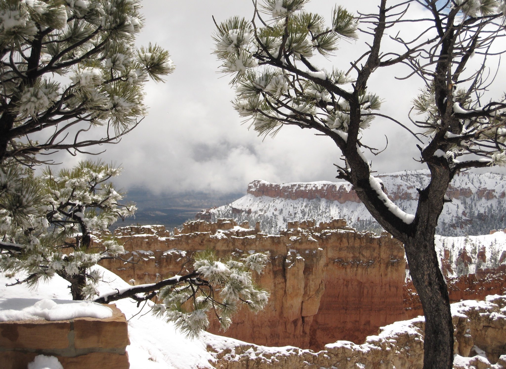 3rd Place Bryce Canyon, Utah by Robert Merle Johnson @RobertMerleJoh1