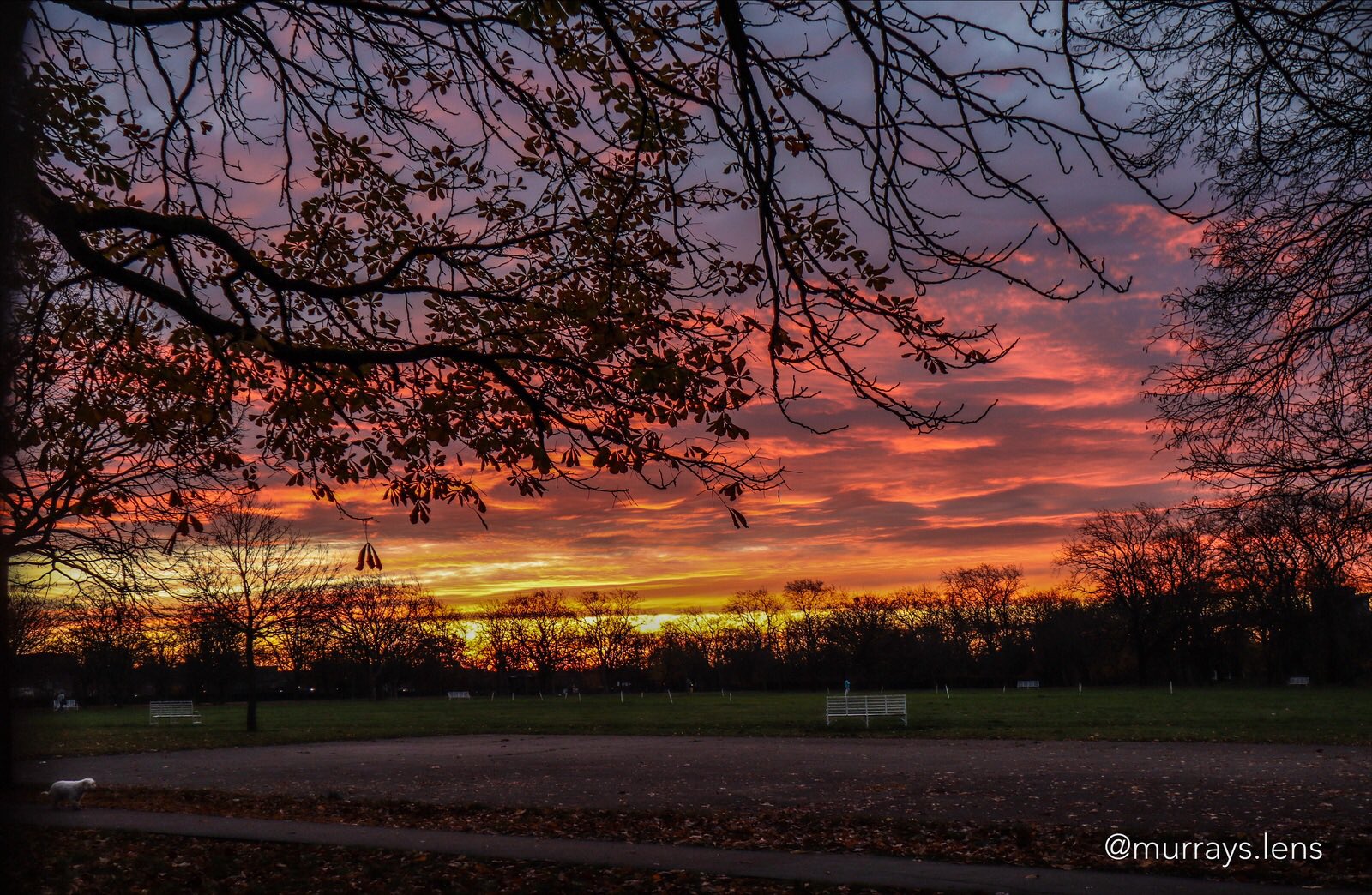 Early morning photo of West Ham Park ,London by Murrays.lens @LensMurrays