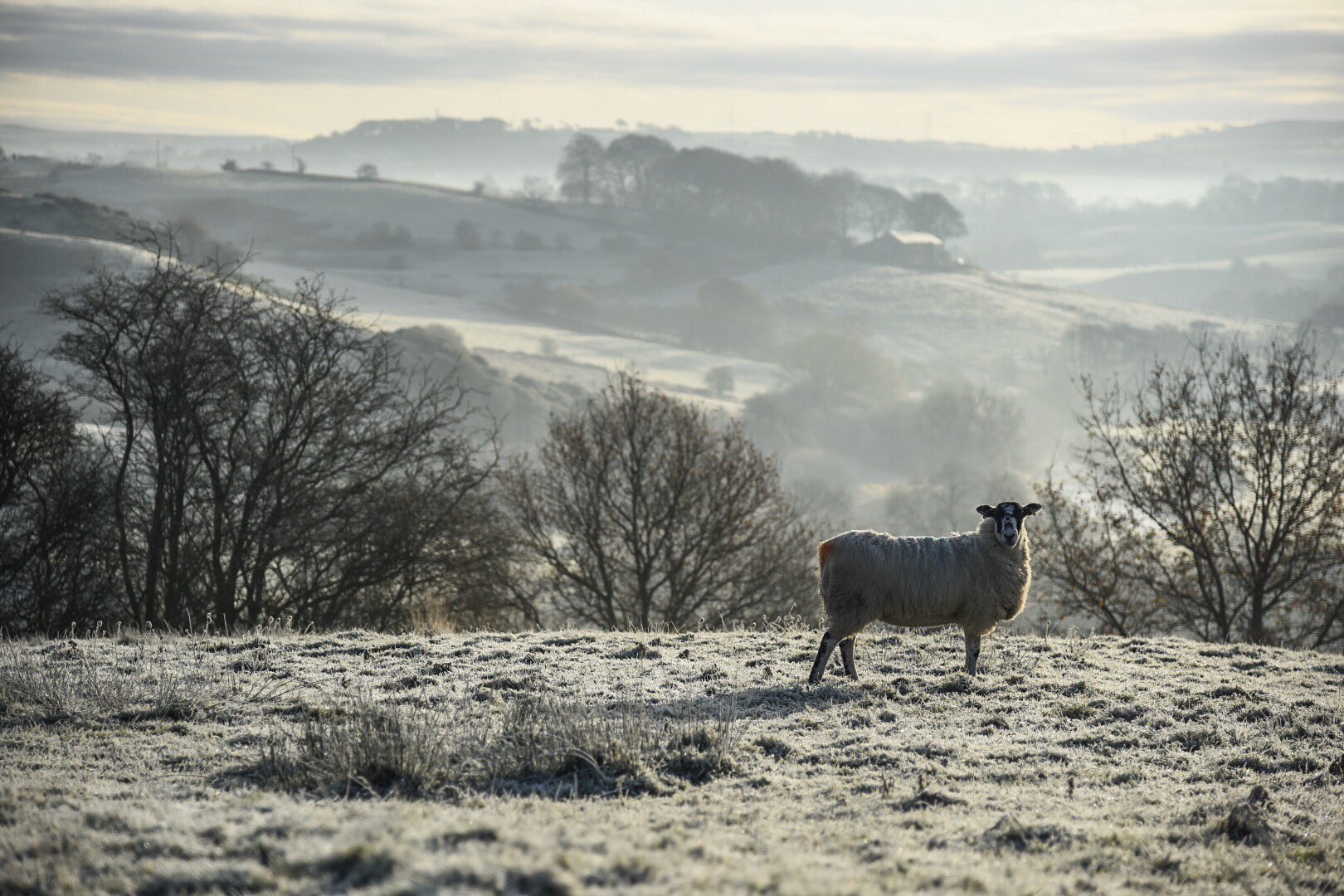 Hard frost in the valley - Hoghton, Lancashire by Wendy Love @wendylov5