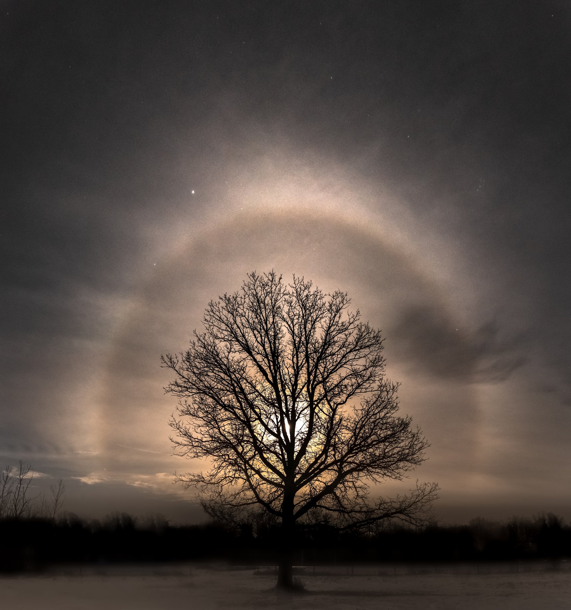 Large moon halo illuminating big oak tree. Manitoba, Canada by Brent Mckean @BrentMckean501