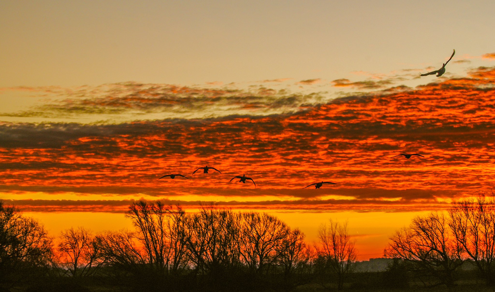 Sunrise over The Fens in Ely by Veronica @VeronicaJoPo