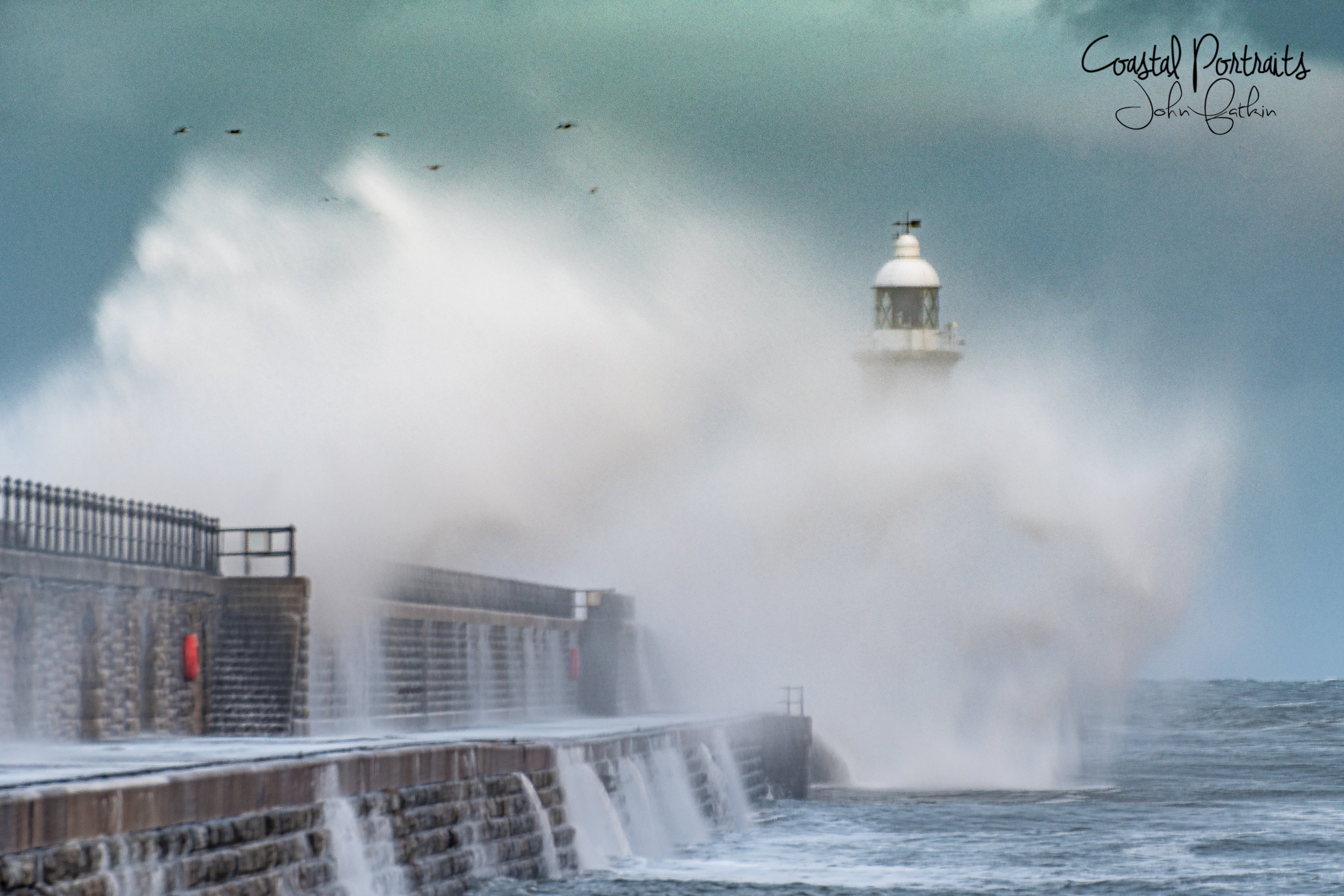 Wild on Tynemouth Pier by Coastal Portraits @johndefatkin