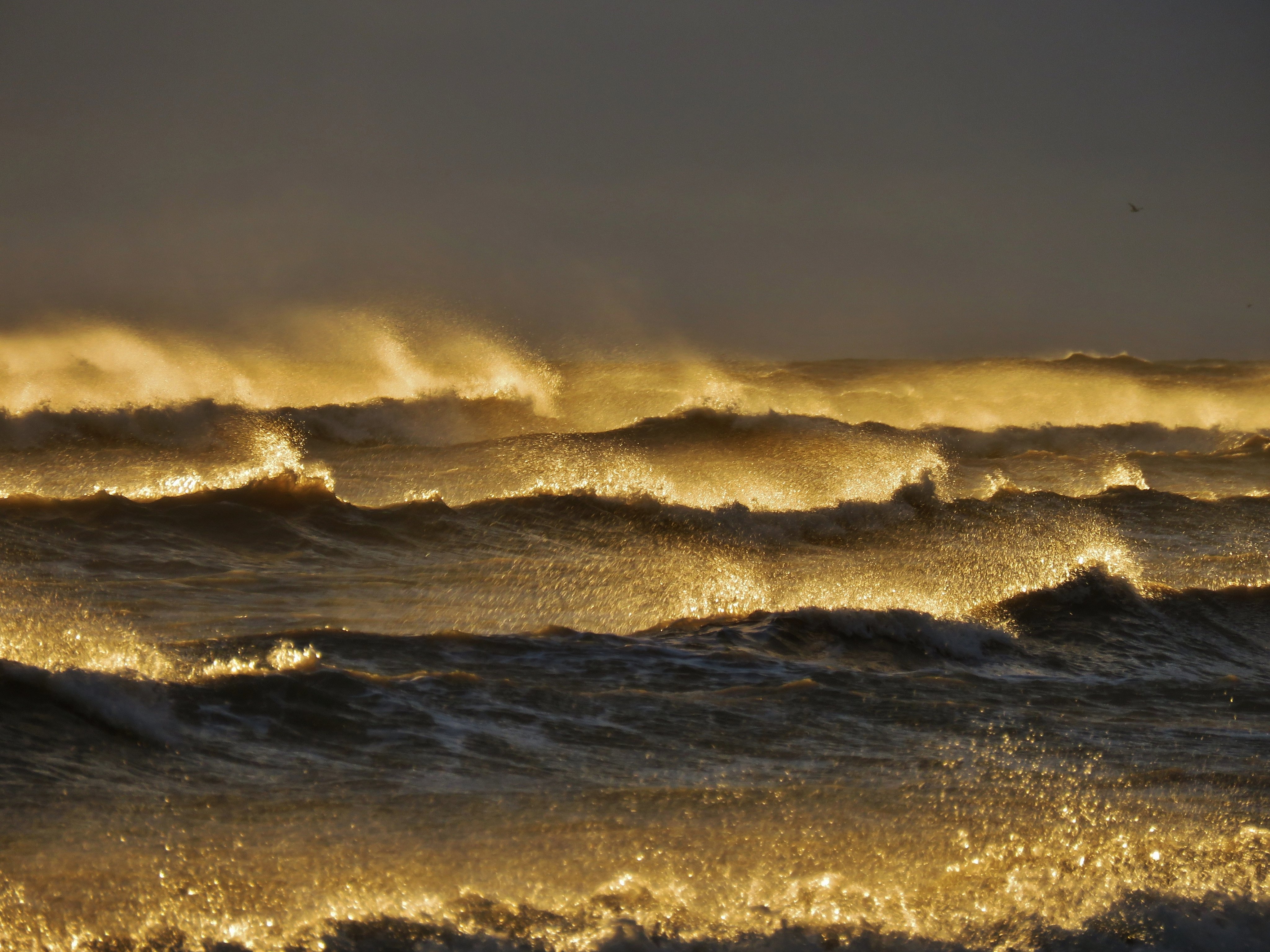 1st Place Liquid gold waves and spray as the sun illuminate a windy Greatstone beach by Ian Hook @ianhook66