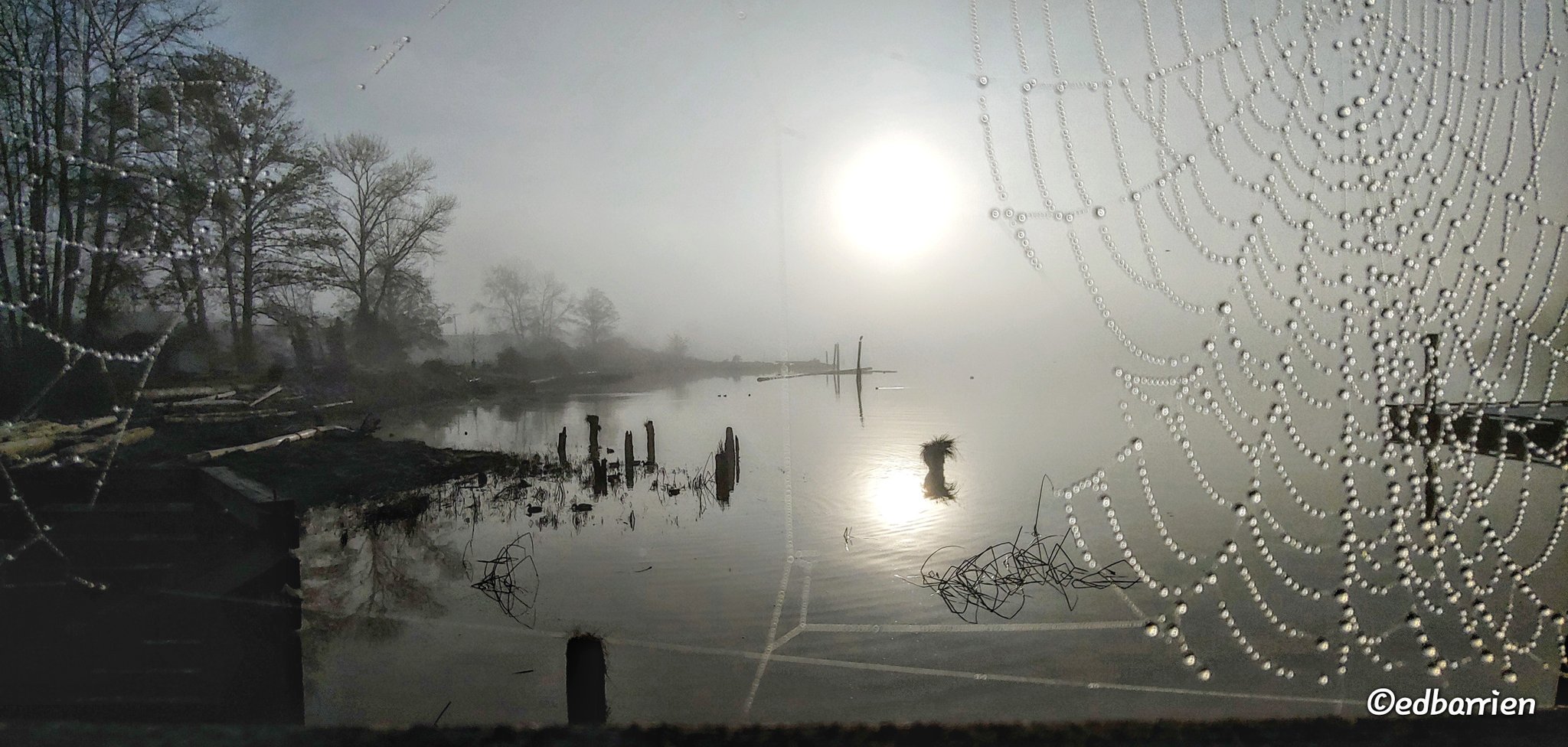 1st Place Misty morning - Richmond BC by Ed Barrien @hikersimage