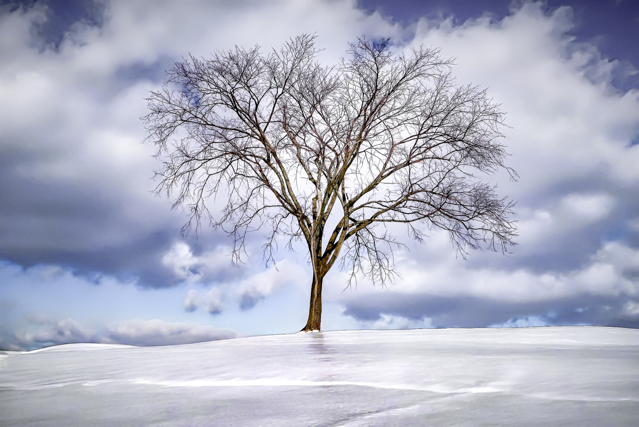 1st Place Rain on snow created a shield of ice in Kingston, Canada by Iris van Loon @11Iris05