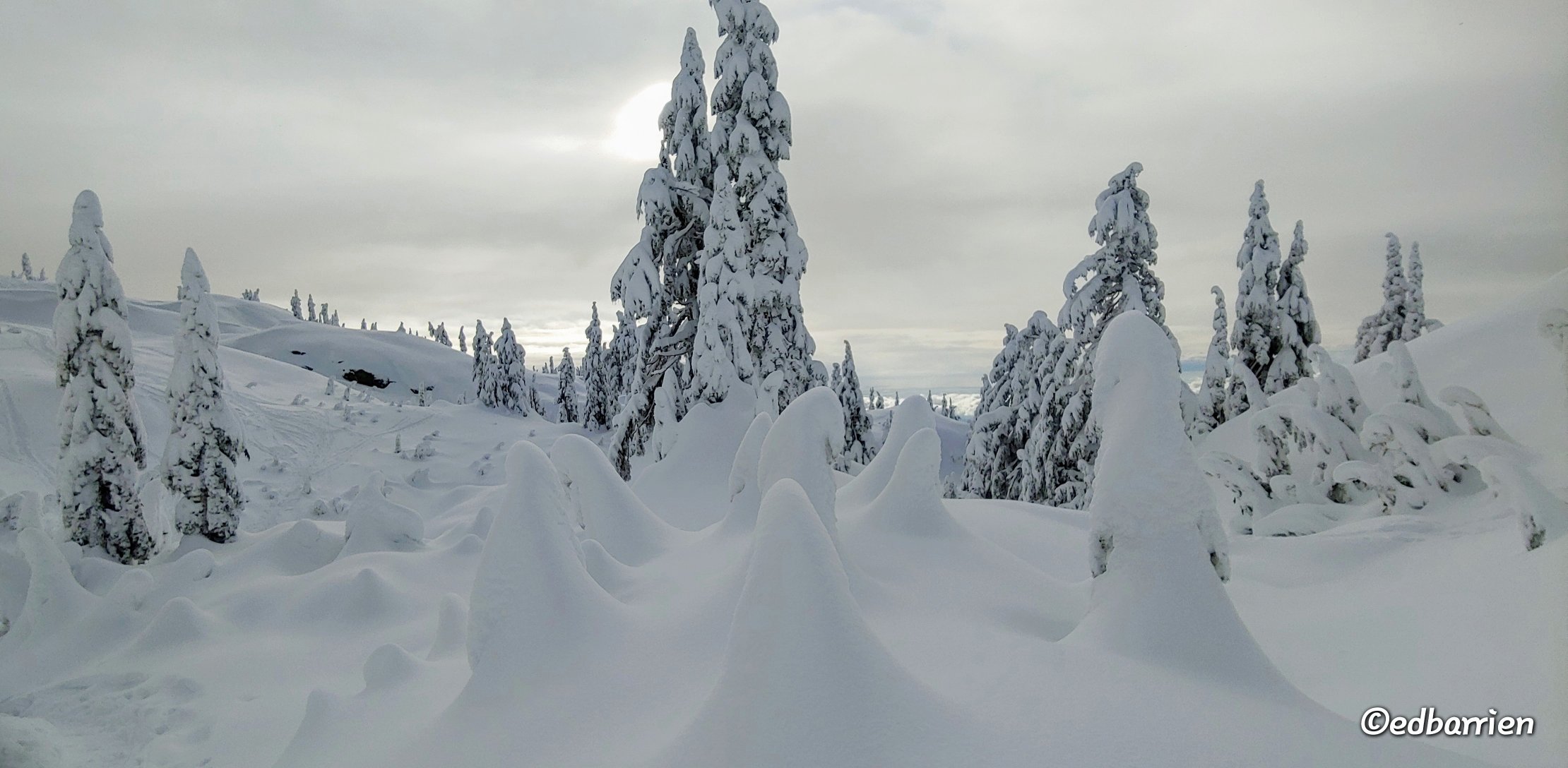 3rd Place Winter wonderland on Mt. Seymour by Ed Barrien @hikersimage