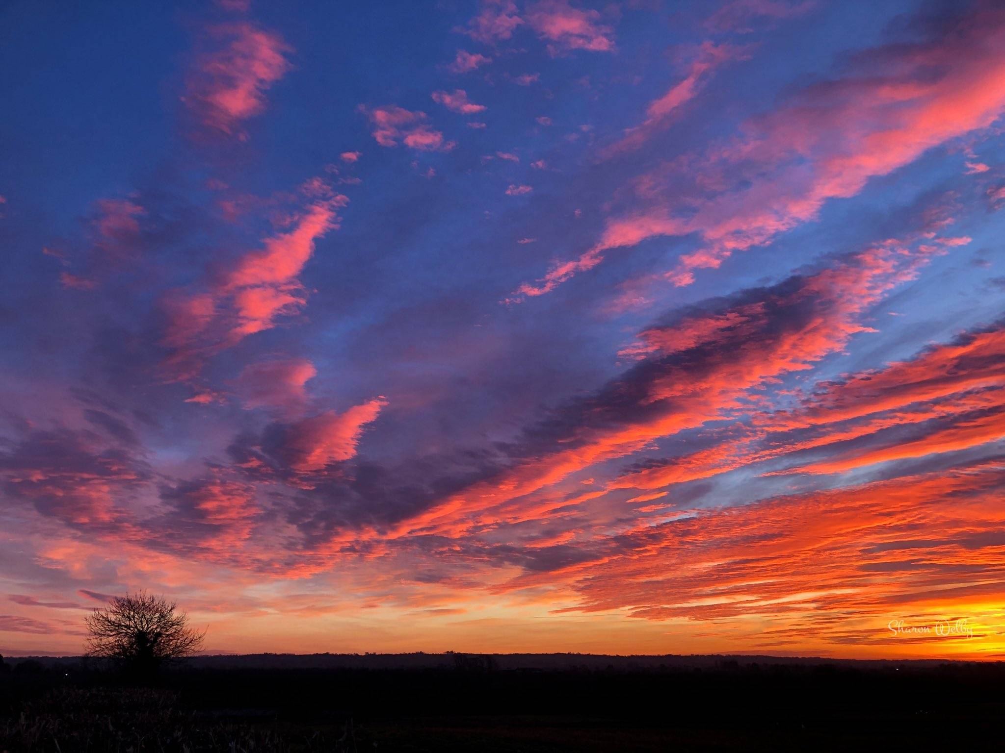 Amazing colours this evening by Sharon Welby @sharonspictures