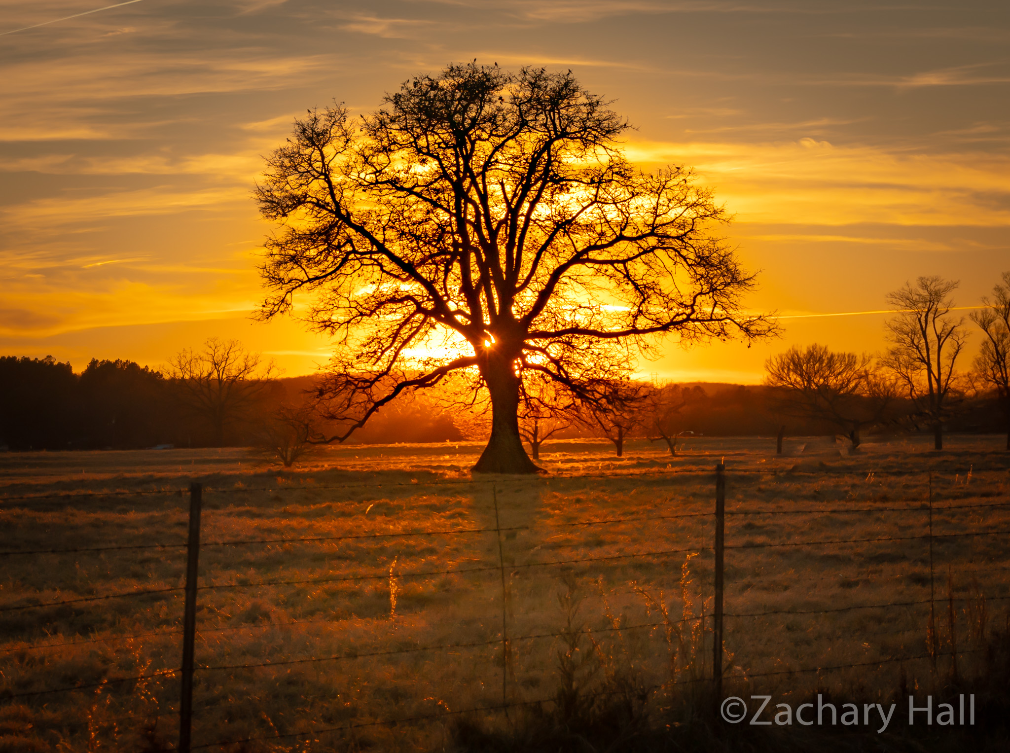 Bonanza Sunset Arkansas